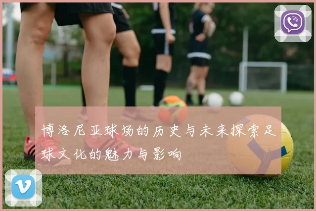 博洛尼亚球场的历史与未来探索足球文化的魅力与影响