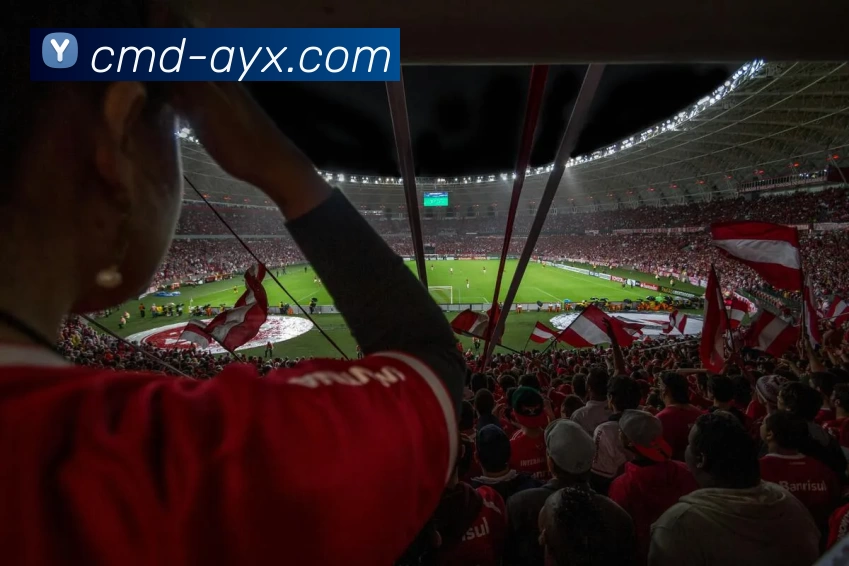 爱游戏平台生态图